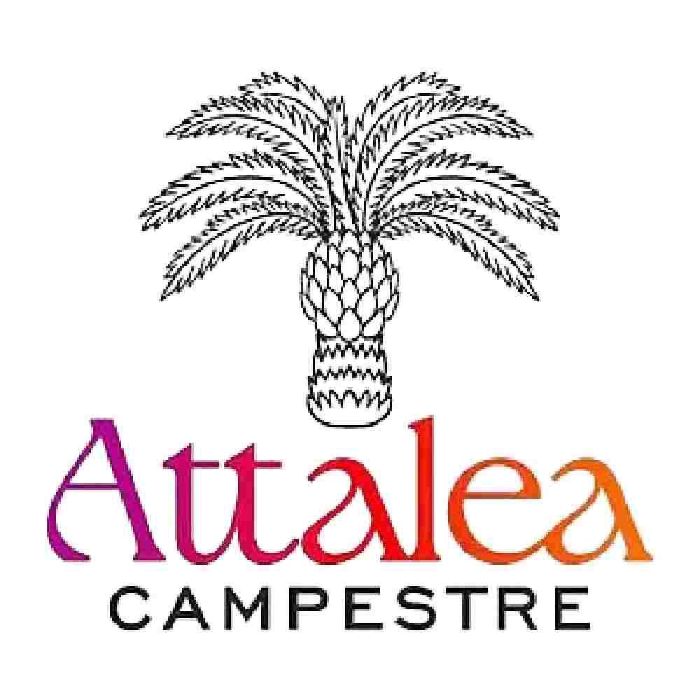 ATTALEA CAMPESTRE