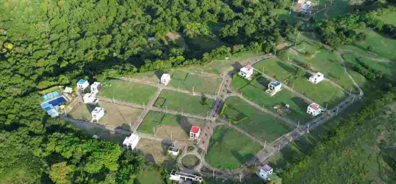 Monte Verde  Melgar